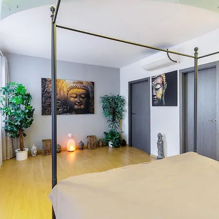 公寓 Luxurious Flat 160m2 In Center, 3 Bedrooms, Ac, Garden, Parking 班斯卡-比斯特里察