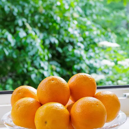 公寓 Luxurious Flat 160m2 In Center, 3 Bedrooms, Ac, Garden, Parking 班斯卡-比斯特里察